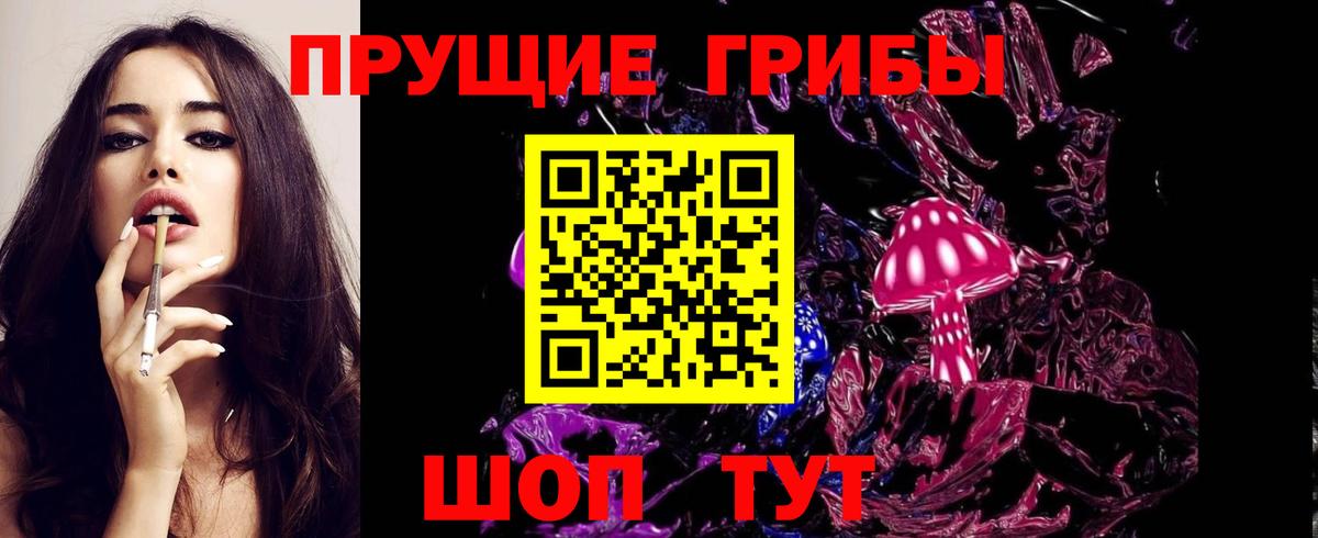Псилоцибиновые грибы Psilocybe Михайловск