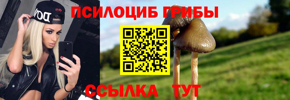 купить наркотик  Вход с VPN  Михайловск  Галлюциногенные грибы мицелий 